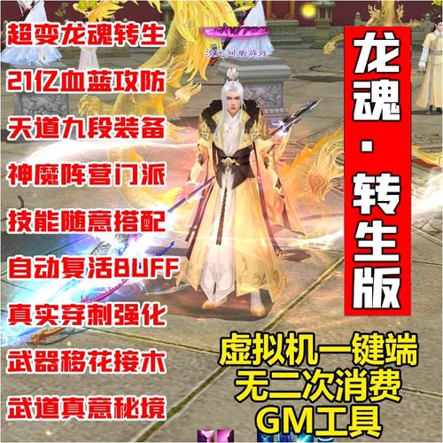龙魂转生变态天龙八部单机版虚拟机一键端电脑游戏GM后台无限元宝