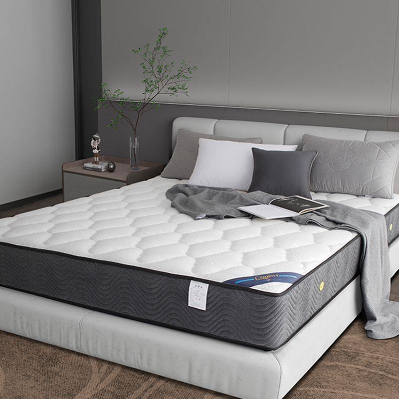 米悦五星酒店床垫席梦思1.8m软硬两用独立弹簧天然乳胶椰棕家用床