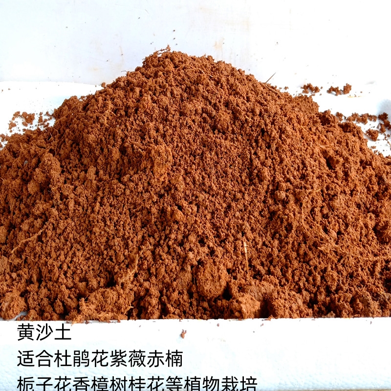 各种盆景老桩室内美观按图原土发