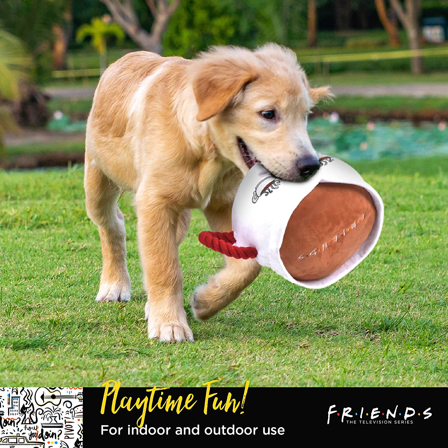 老友记宠物毛绒玩具抱枕