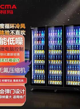 国企旗舰店商用双门风冷展示柜超市饮料啤酒冷藏保鲜冰柜