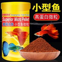 Рыба для рыбы мелкая рыба и золотая рыба кормить павлин рыбу феникс