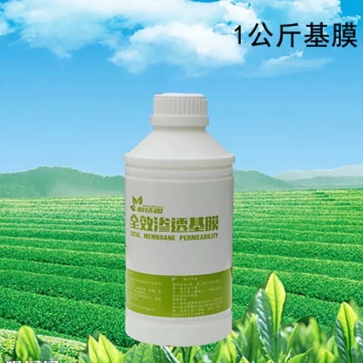 墙面防掉粉灰处理专用基膜环保家用防水防潮白色墙壁渗透墙面基膜