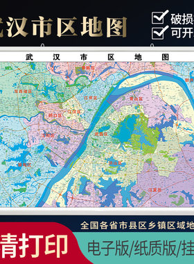 2026新款武汉市城区地图高清防水装饰画办公室挂图高超大定制