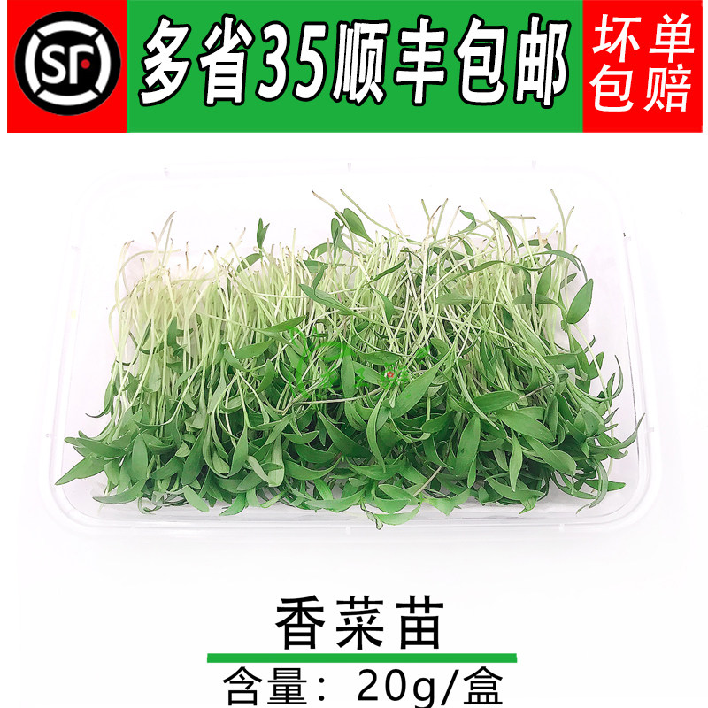 新鲜蔬菜可食用摆盘装饰