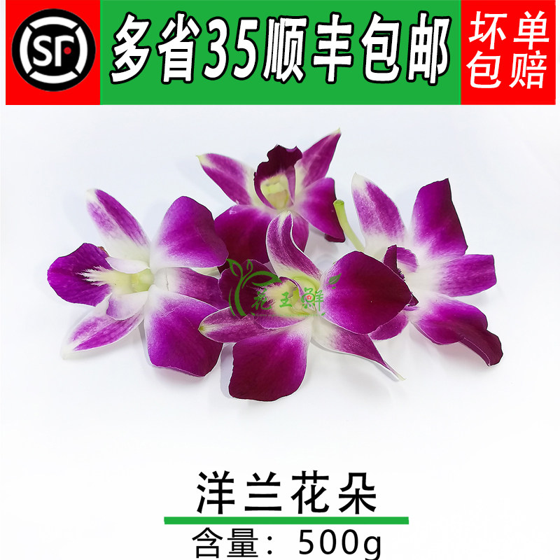 新鲜 洋兰花 杨兰花朵 石斛兰 1斤约160朵 酒店西餐摆菜盘装饰