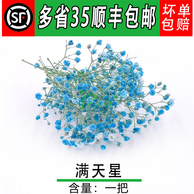 满天星蓝色新娘手捧花