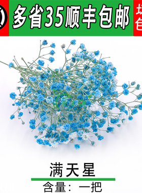 满天星 蓝色 一把  新鲜满天星新娘手捧花酒店西餐餐饮摆盘盘饰