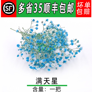 满天星 蓝色 一把  新鲜满天星新娘手捧花酒店西餐餐饮摆盘盘饰