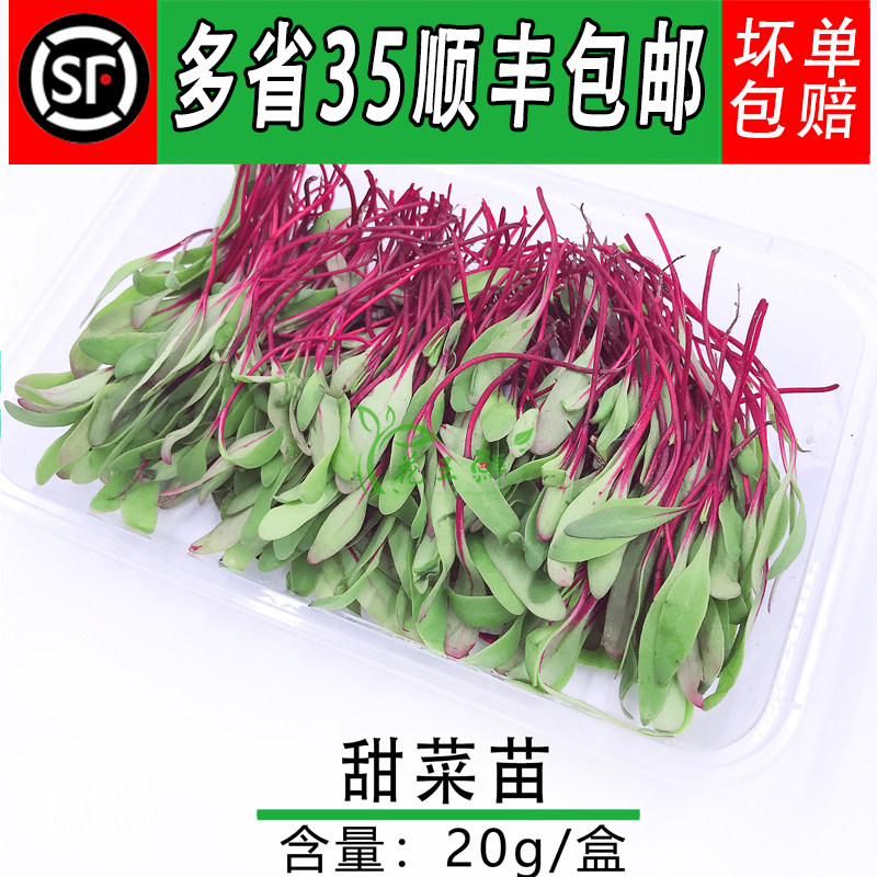 甜菜苗新鲜芽苗菜酒店西餐店冷艺摆盘装饰可食用牛皮菜 20g/盒/件