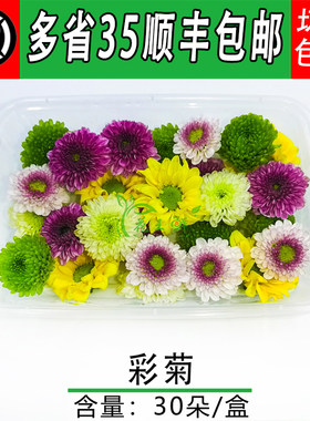 小彩酒店摆盘装饰雏菊绿球鲜花
