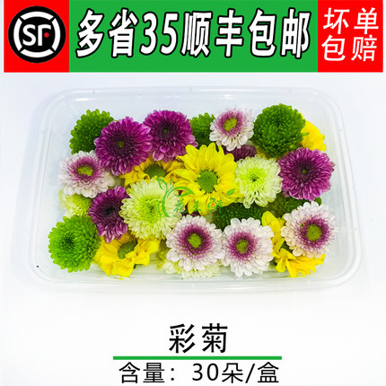 新鲜小彩菊酒店冷艺摆盘装饰鲜花 雏菊 绿球菊 迷你菊 30朵/盒/件