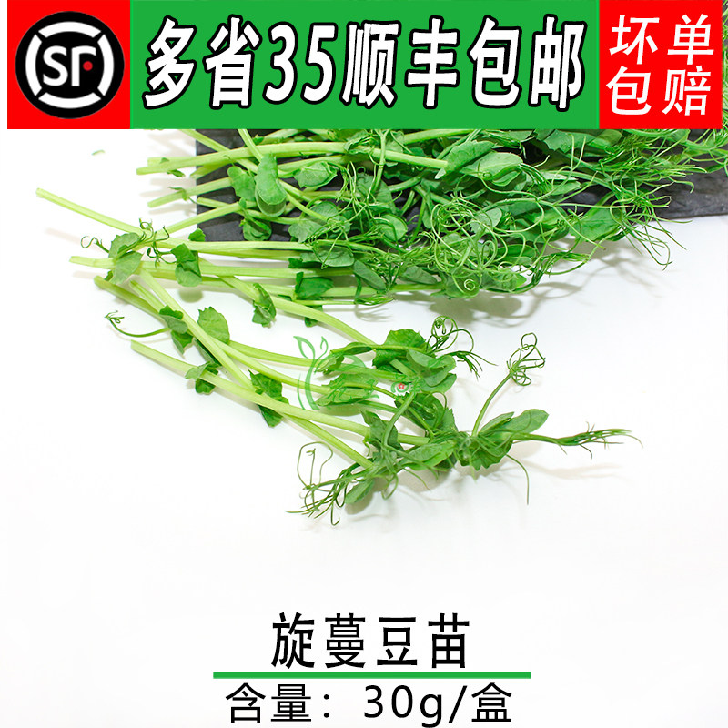 新鲜盒装酒店冷菜豌豆苗