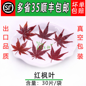 真空新鲜枫叶 红枫叶 30片 西餐日料餐饮摆盘装饰 5件包邮