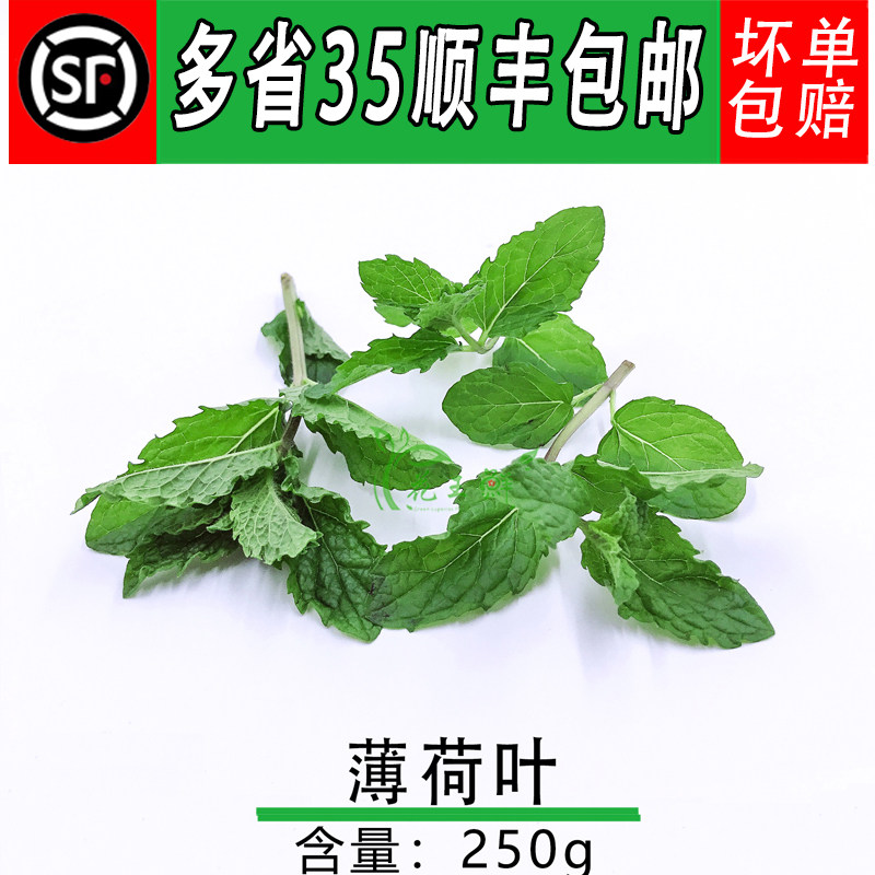 新鲜薄荷叶散称留兰香食用蔬菜 清凉调酒泡茶西餐香料调料250g