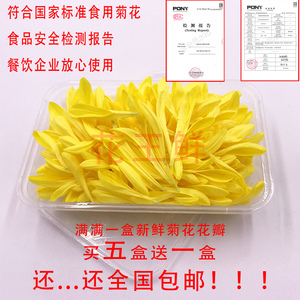 新鲜黄菊花花瓣 食用菊花酸菜鱼火锅米线西餐摆盘冷菜装饰黄菊花