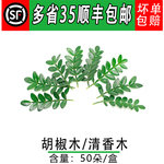 新鲜清香木叶 胡椒木叶 50支 日料摆盘花草 西餐酒店蛋糕摆盘装饰