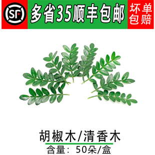新鲜清香木叶 胡椒木叶 50支 日料摆盘花草 西餐酒店蛋糕摆盘装饰
