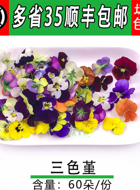 三色堇 新鲜三色花 鸢尾花  鲜花草酒店西餐摆盘烘焙装饰点缀