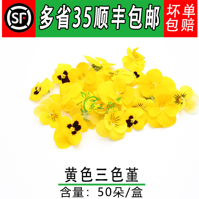 新鲜黄色三色堇 50朵三色花 西餐摆盘菜装饰餐饮摆盘鲜花草