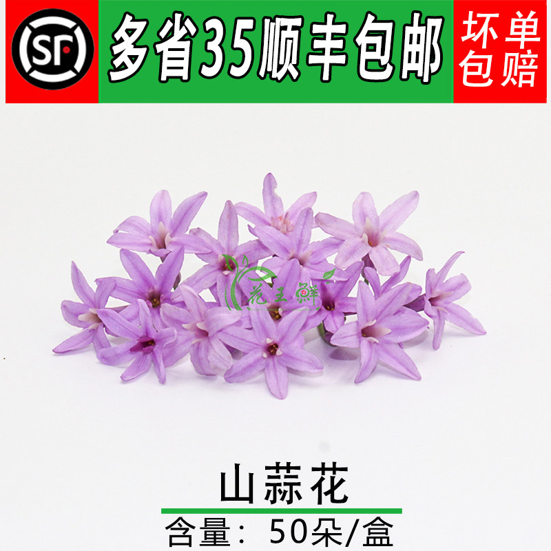 山蒜花 新鲜 星光璀璨花非五星花西餐餐厅日料酒店摆盘装饰鲜花草