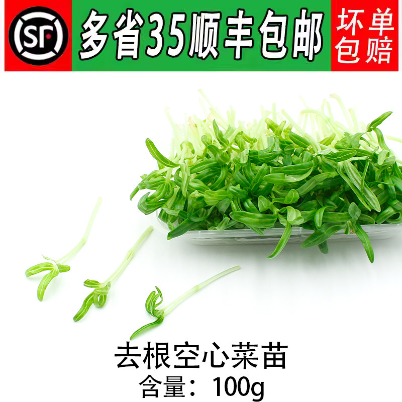 新鲜去 根空心菜苗 食用芽苗菜 西餐日料酒店冷盘装饰配菜冷艺