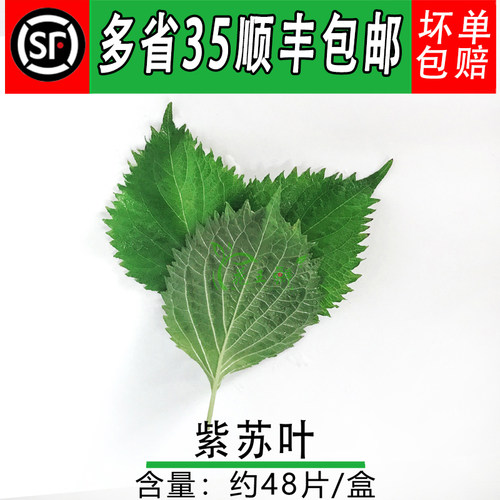 日料刺身摆盘紫苏叶 新鲜大叶 苏子叶食用花酒店西餐摆盘装饰