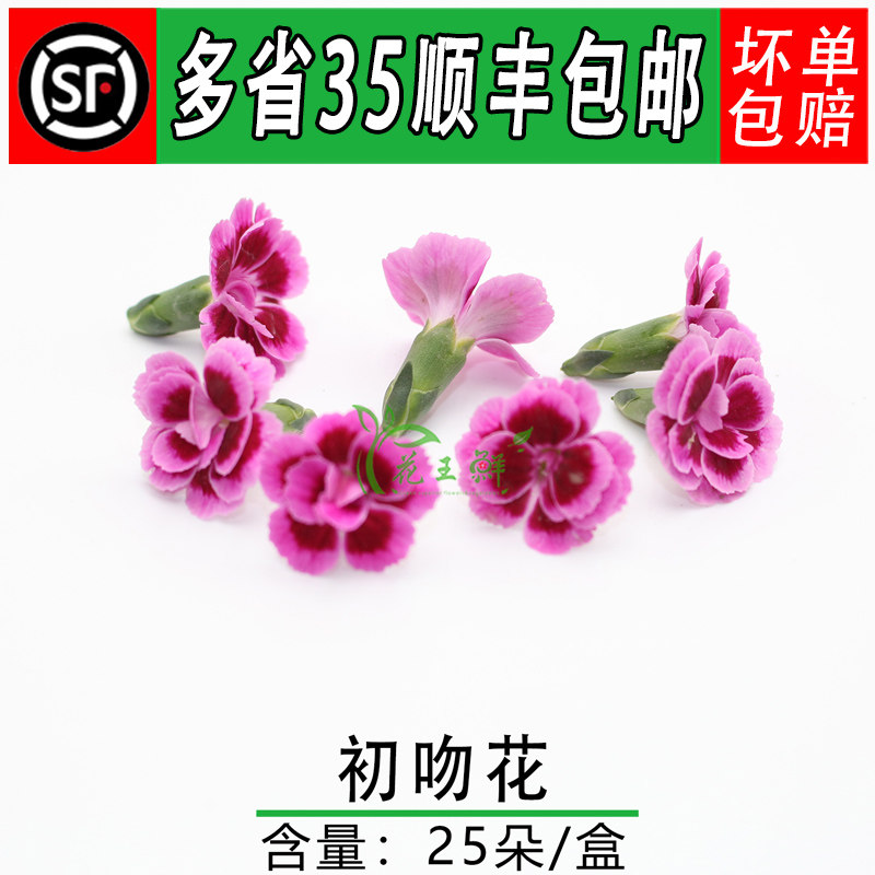 新鲜初吻花 小康乃馨 向阳花西餐摆盘装饰餐饮酒店摆盘烘焙鲜花草