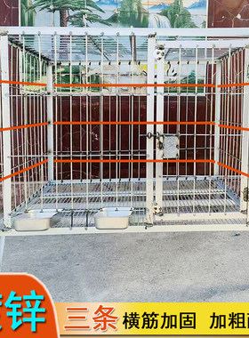 镀锌实心钢筋角铁狗笼子中大型犬加密狗场室外抗咬繁殖犬舍马犬