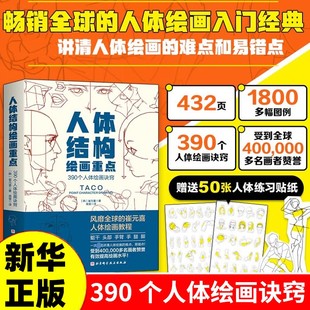 人体结构绘画重点 人体结构 人体绘画 崔元喜 TACO人体 解剖 动画人体结构教程 人体结构绘画教程 绘画技巧 绘画教程