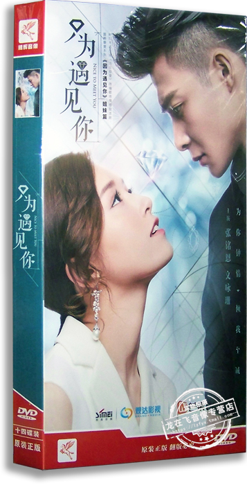 正版电视剧 只为遇见你14DVD 经济版盒装 张铭恩 文咏珊 魏千翔