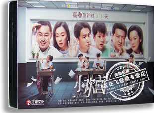 正版电视剧 小欢喜 10DVD 经济版盒装 黄磊 海清 陶虹 咏梅