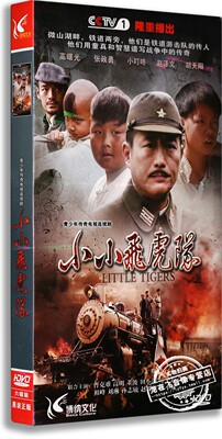 正版电视剧 小小飞虎队6DVD经济版盒装碟片高曙光 张政勇 小叮咚