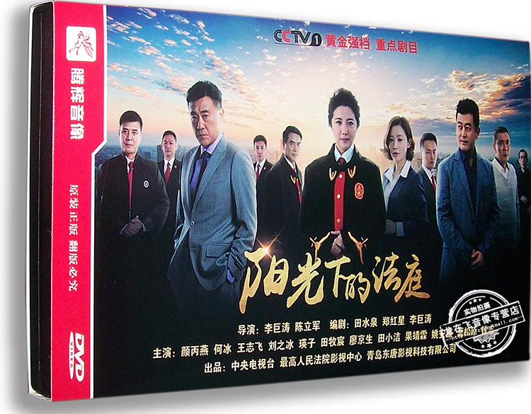 正版电视剧 阳光下的法庭 经济版12DVD 颜丙燕 何冰 王志飞