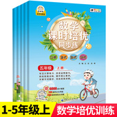 计算题专项训练强化练习册天天练人教版 脱式 5年级上册下册数学课时培优同步练习题一二三四五年级下册口算题卡天天练竖式 小学生1