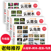 认识花草树木昆虫鸟类童眼看世界全套4册彩色大图儿童3 6岁看图识物科普百科书小学生科普认知看图识物早教书本启蒙认知绘本翻翻书