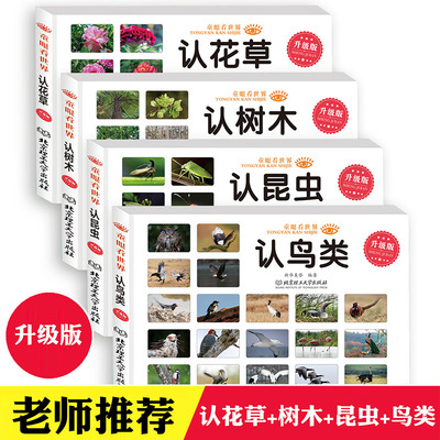 认识花草树木昆虫鸟类科普百科