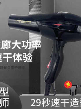 宸铭8815吹风机风大功率理发店速