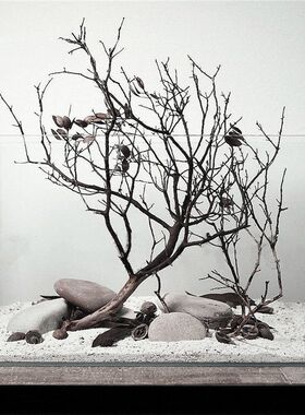 天然树枝鱼缸造景客厅餐厅玄关酒柜杜鹃栖根沉木水草缸雨林缸树根