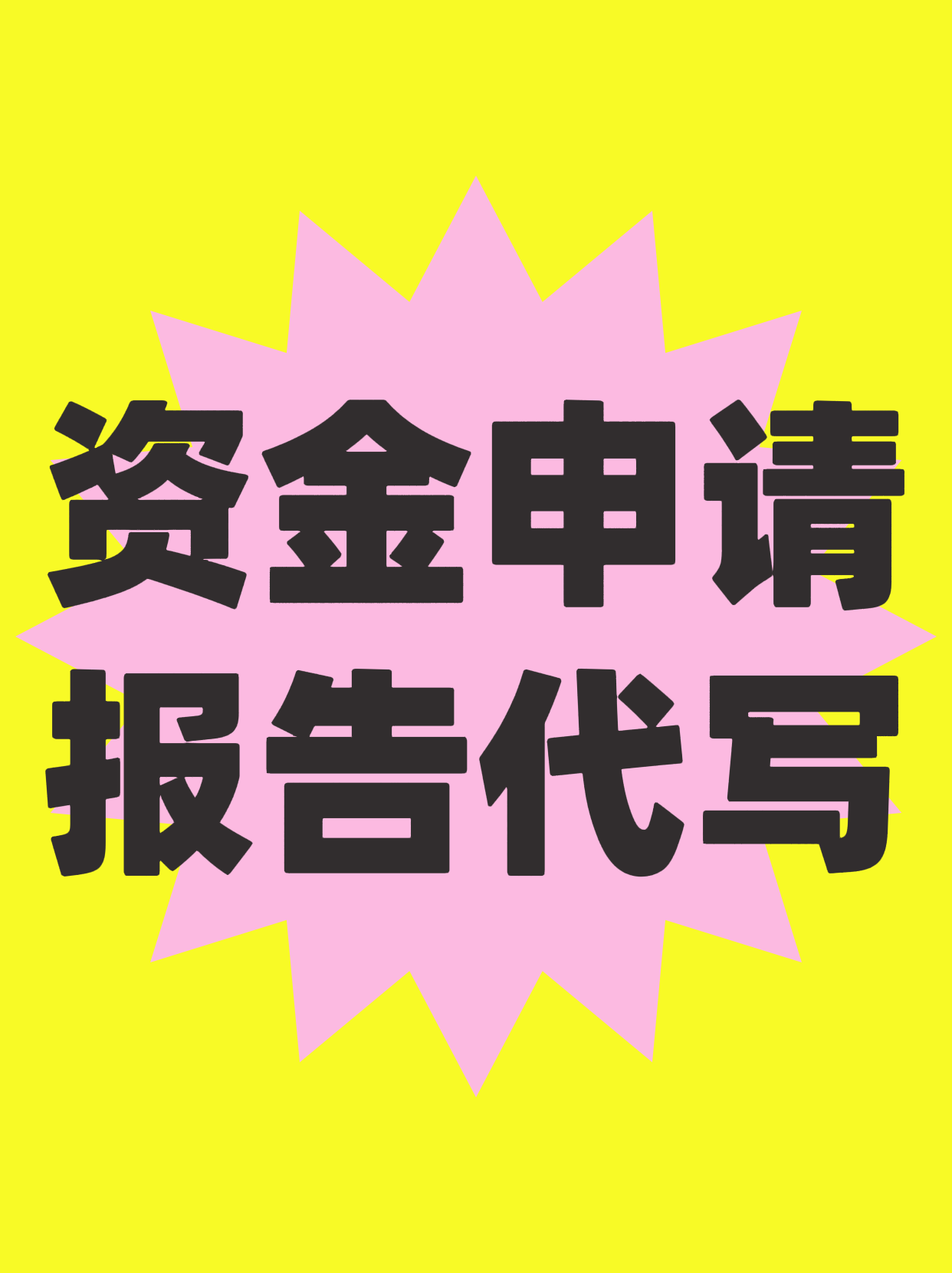 资金申请报告代写社会稳定风险评行业研究报告
