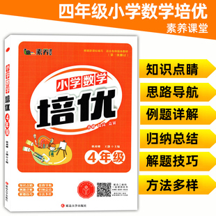 小学数学培优四年级根据新课标编写适合各种版本教材小学4年级数学培优数学教辅书知识点睛思路导航例题详解归纳总结解题方法