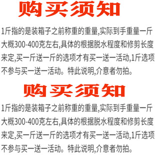 饰花束 网红情人草干花超大束粉色蓝色天然真花家居摆设客厅装