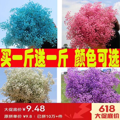 鲜花工厂批发新鲜满天星