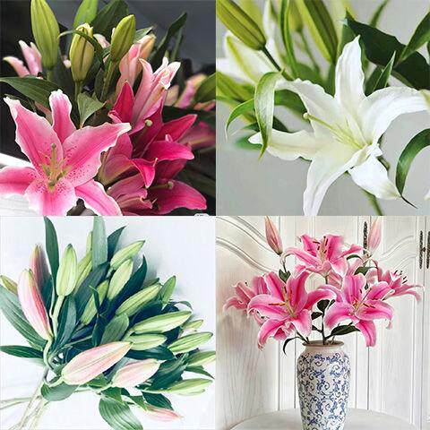 香水百合花云南基地直发现采现发水养鲜花真花家庭生活插花花束