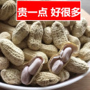 散带壳熟零食特产 新龙岩水煮花生白晒干盐水煮咸干湿烤500gx2袋装