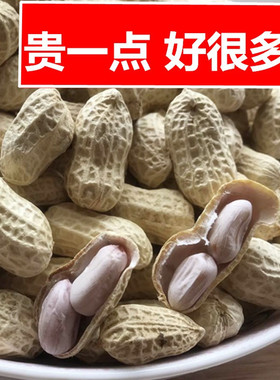 新龙岩水煮花生白晒干盐水煮咸干湿烤500gx2袋装散带壳熟零食特产