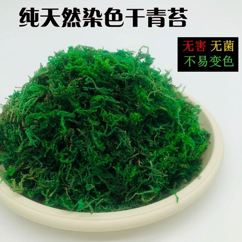 染色青苔不变色透气无菌无害