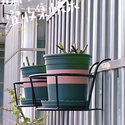 圆形铁艺悬挂花盆挂篮