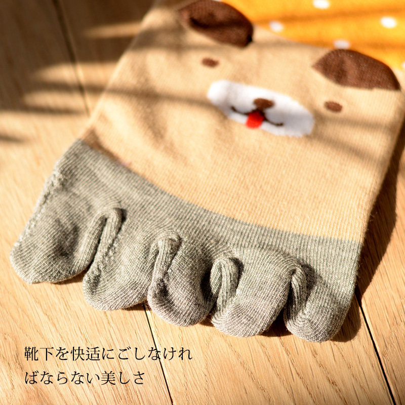 Chaussettes - collants DW515 - Ref 779041 Image 4