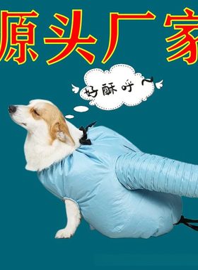 宠物冬天猫咪洗澡速干袋烘干箱大型犬狗吹毛神器烘干机家用吹风
